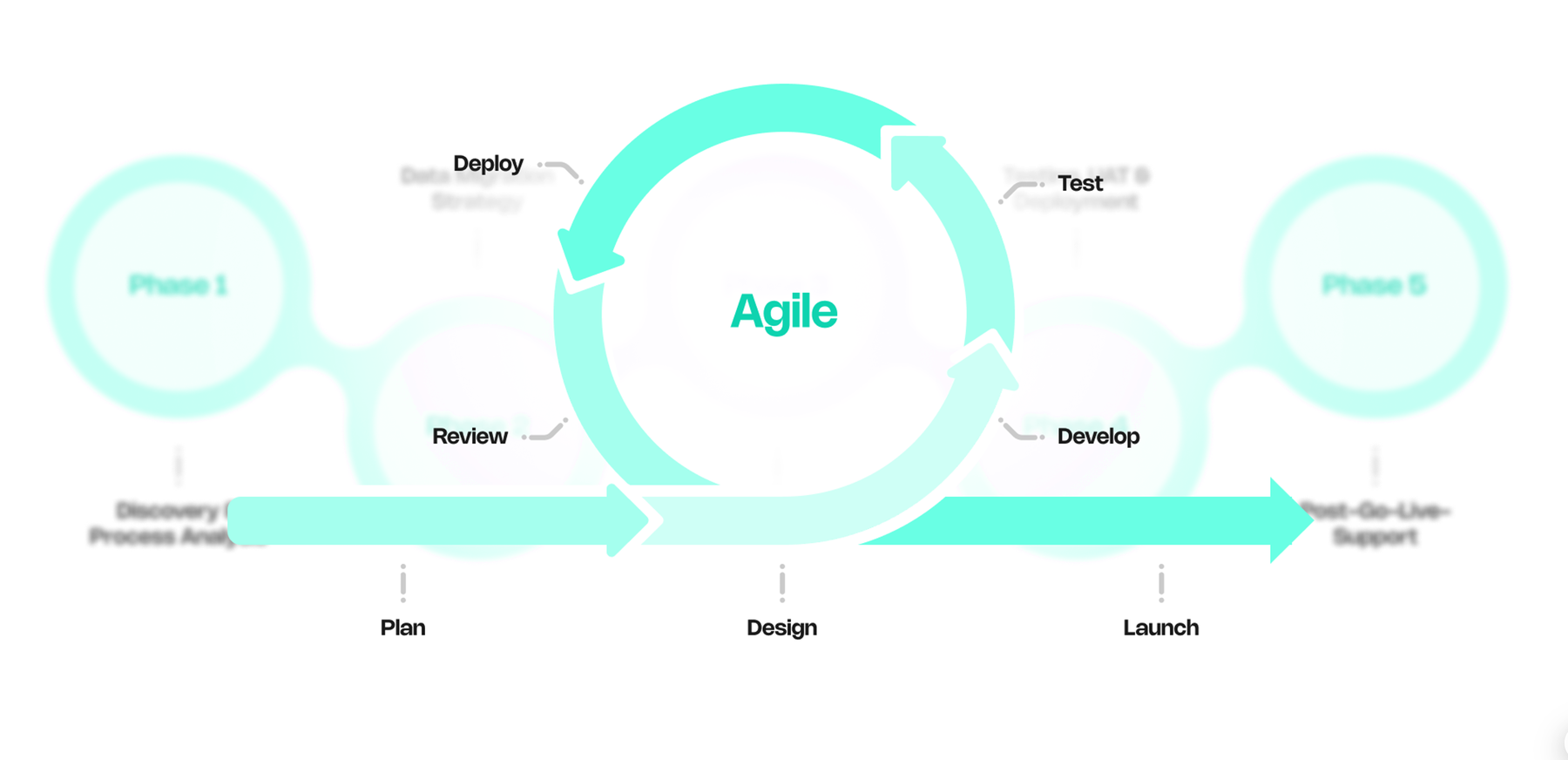 Whiz Solutions phased, agile delivery approach — Plan, Design, Develop, Test, Deploy, Review, and post-go-live support
