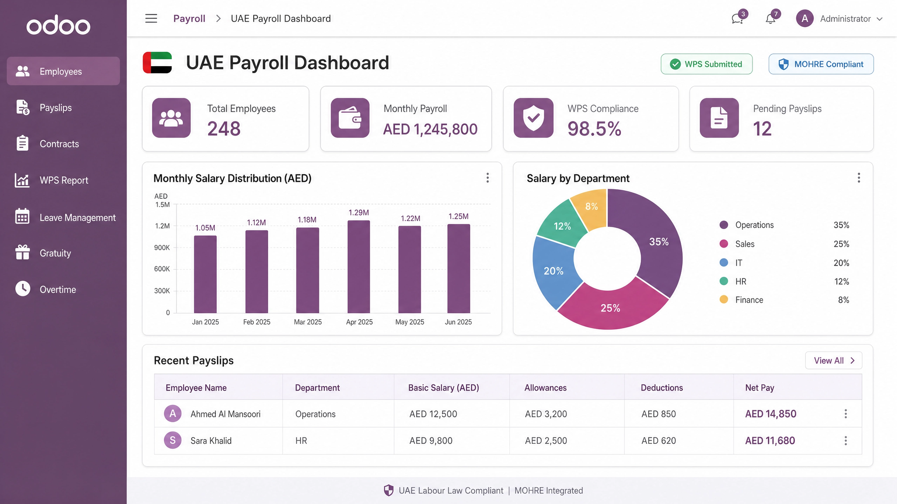 Odoo ERP & Payroll